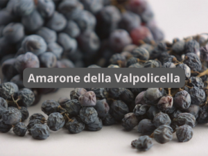 Amarone della Valpolicella www5